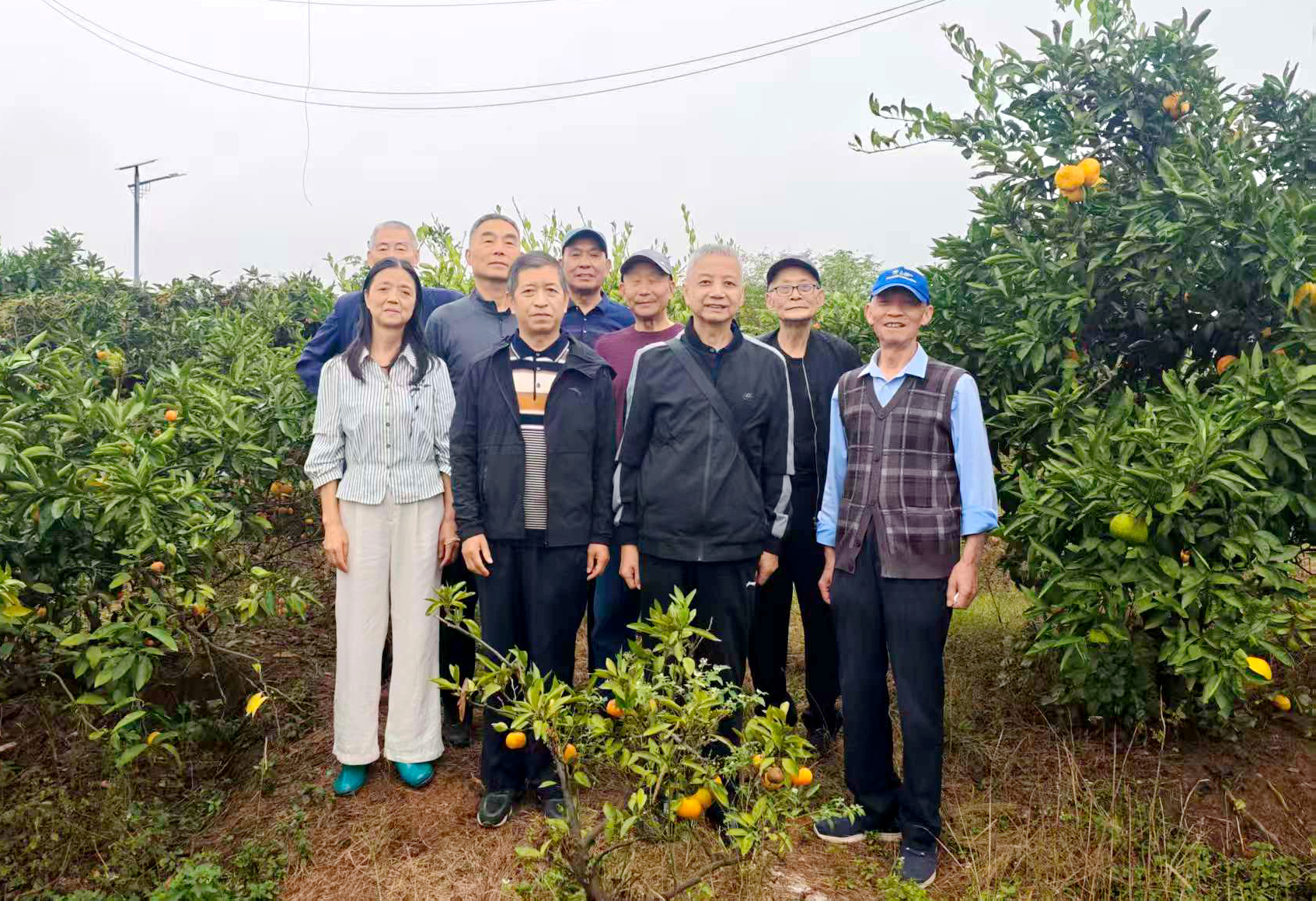 微信图片_20261016150511_6_6_副本.jpg